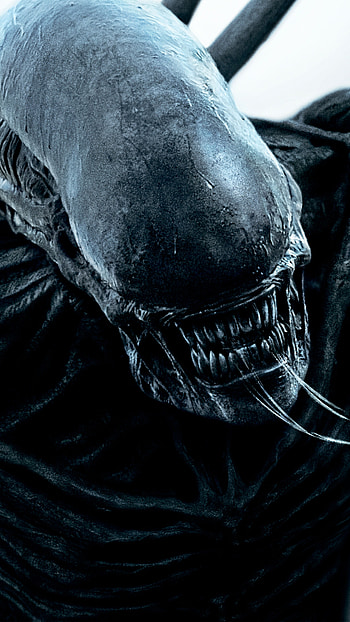 Covenant, Alien (Movie) HD phone wallpaper