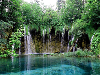 Waterfall in the forest, landscape, waterfall, beautiful, nature, amazing, forest HD wallpaper