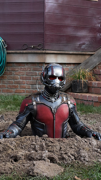 Paul Rudd, Movies, Ant-Man and the Wasp, movies HD phone wallpaper