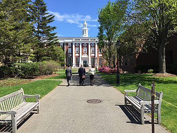 Harvard Business School, Harvard University HD wallpaper
