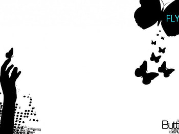 ButterFLY, butterflies, vector, black HD wallpaper