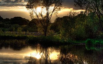 Landscape, Rivers, Trees, Sunset HD wallpaper