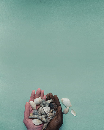 Palms, Shells, Miscellanea, Miscellaneous, Palm, Hands HD phone wallpaper