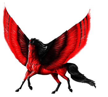 Red Pegasus, sdf, ds, dv, f, sef, d, fd HD wallpaper