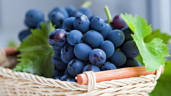 Gorgeous grape basket, Eye-catching decoration, Perfect for XFCE, delight HD wallpaper