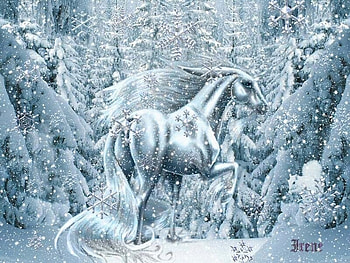 Snow-Magic, magic, snow HD wallpaper