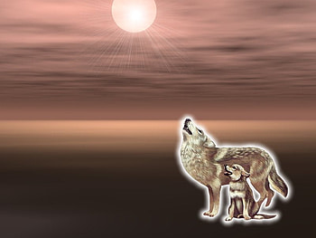 Wolf Howling, howling, wolf HD wallpaper