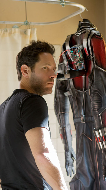 Paul Rudd, Movies, Marvel studio, Scott Lang HD phone wallpaper