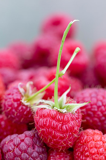 Food, Raspberry, Berries, Close-Up, Ripe, Juicy HD phone wallpaper