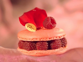 Yummy, sweet, treat, sugary, cookie, delicious, food, mouth watery, cupcake HD wallpaper