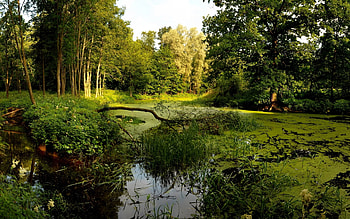 Landscape, Rivers HD wallpaper
