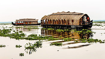 Traveling to Kerala, Travel guidelines, Current state regulations, Safe journey HD wallpaper