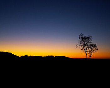 Nature, Sunset, Sky, Horizon, Wood, Tree, Outline HD wallpaper