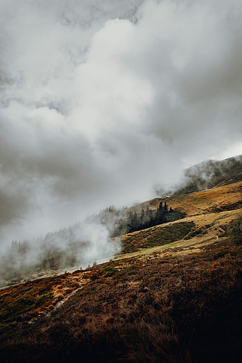 Nature, Trees, Grass, Clouds, Fog, Slope HD phone wallpaper