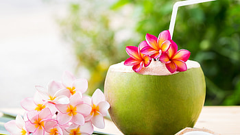 Hawaiian Cocktail, plumeria, flowers, blossoms, melone HD wallpaper