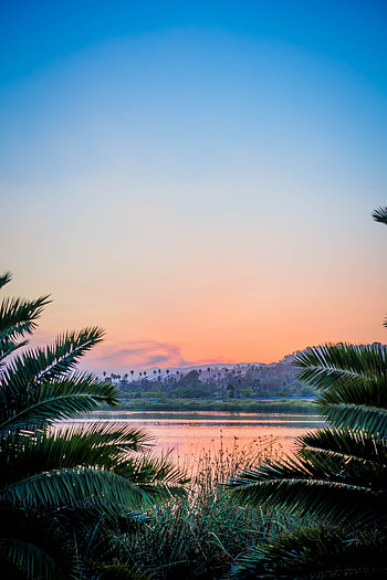 Nature, Sunset, Grass, Usa, Lake, Branches, United States, Santa Barbara HD phone wallpaper