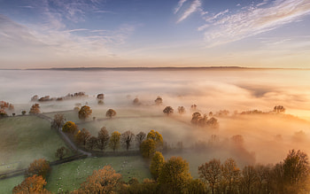 Sky Mist Forest Fall Trees, forest, trees, nature, sky, mist, fog, scenery HD wallpaper