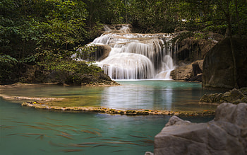 Nature, Water, Trees, Stones, Waterfall, Branches HD wallpaper