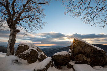 Winter, Nature, Stones, Sun, Snow, Branches HD wallpaper