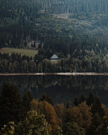 Nature, Rivers, Forest, Small House, Lodge HD phone wallpaper