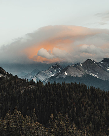 Landscape, Nature, Mountains, Clouds, Forest, Mountain Range HD phone wallpaper