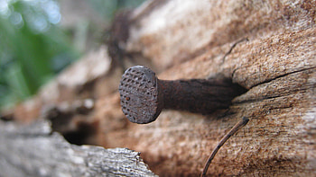 Macro, Wall, Rusty, Nail, Beaten, Hammered In HD wallpaper