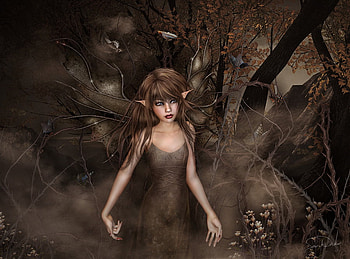 Fairy, fantasy HD wallpaper
