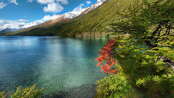 beautiful shore, sea, trees, shore, mountain HD wallpaper