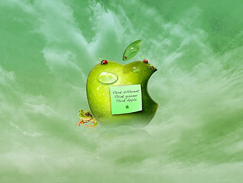 Brands, Logos, Apple, Apples HD wallpaper