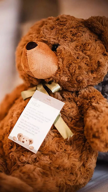 Teddy Wale, Beautiful, Brown Teddy HD phone wallpaper