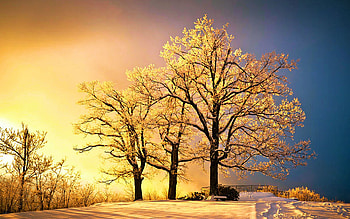 Luminous - Blue Ridge Mountains Winter Sunset, North Carolina, usa, snow, colors, trees, landscape, sky HD wallpaper