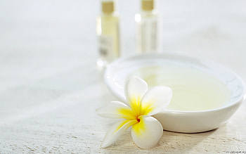 SPA Elements, plumeria, white, spa elemenst, flower, soft, spa, flowers HD wallpaper