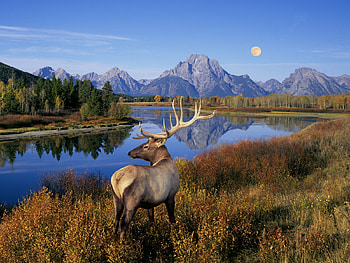 Grand Tetons, river, landscape, autumn, snake river, mountains, usa, wyoming HD wallpaper