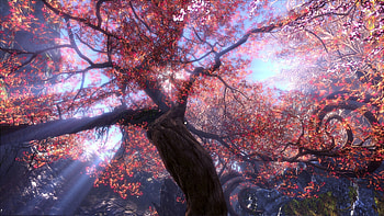 Plants, Landscape, Trees HD wallpaper