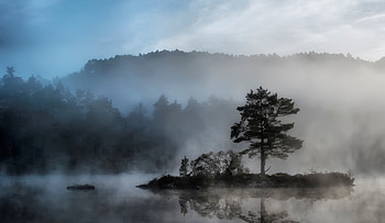 Nature, Water, Wood, Tree, Fog, Island, Mysterious, Basin, Islet HD wallpaper
