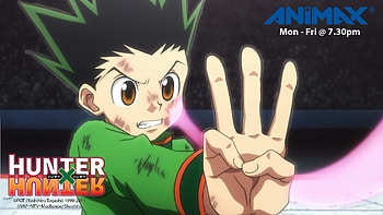 Hunter x Hunter : Hunter X Hunter HD wallpaper