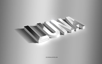 Luna, silver 3d art, gray background, with names, Luna name, Luna greeting card, 3d art, with Luna name HD wallpaper
