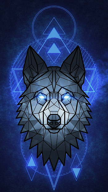 Wolf , Nature's wonder, Majestic lupine, Wild beauty HD phone wallpaper