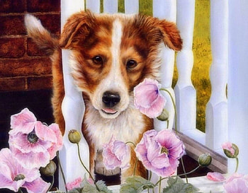 Dog & Poppies, love four seasons, summer, poppies, puppy, animals, dogs, draw and paint, paintings HD wallpaper