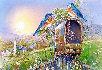 Spring Guests, birds, postbox, painting, blossoms, landscape, meadow, nest HD wallpaper