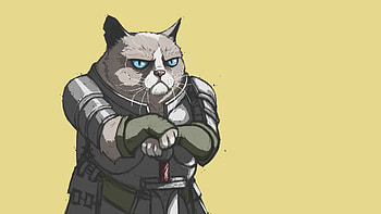 grumpy cat meme HD wallpaper