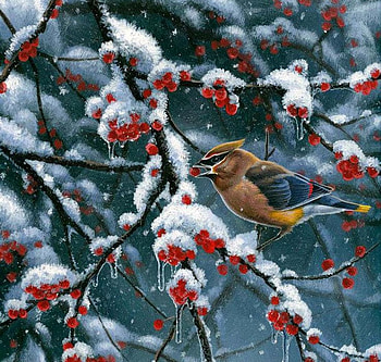 Winter treat, winter, art, abraham hunter, bird, berry, painting, pictura, red, iarna, pasari HD wallpaper