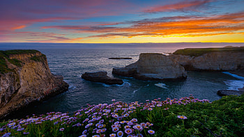 Shark Fin Cove, Davenport, California, pacific, coast, colors, sky, rocks, stones, usa, sea, wildflowers, sunset HD wallpaper