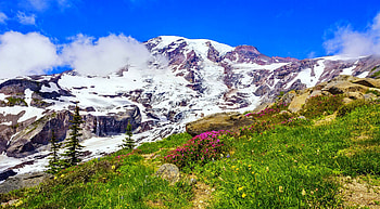 Spring in the mountain, rocks, spring, mountain, snowy, hills, slope, grass, beautiful, meadow, wildflowers, freshness, sky HD wallpaper