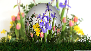 Happy Easter, Egg, Easter, Happy HD wallpaper
