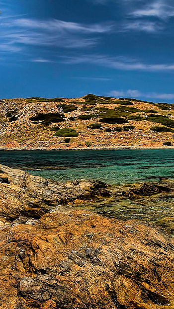 Green leaf tree, Near body of water Mochlos Crete HD phone wallpaper