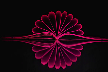Pink, Reflection, Dark, Backlight, Illumination, Book, Sheets HD wallpaper