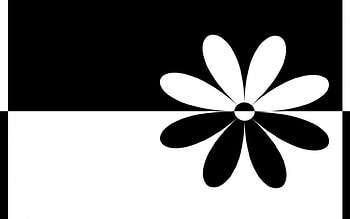 Black&White, background, black and white, original, wall, flowers HD wallpaper