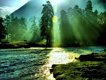 Morning, sunshine, river, rays, gree, trees HD wallpaper