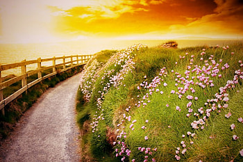Path To Sunset, sea, path, beautiful, grass, summer, wildflowers, pink, green, yellow, fence, red, clouds, flowers, sky, cliff, sunset HD wallpaper